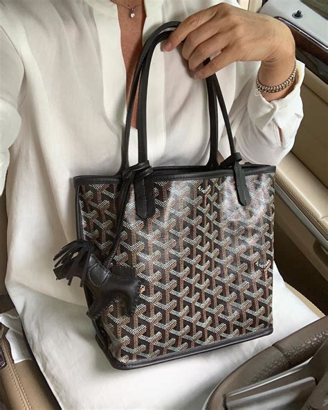 goyard bag cost in paris